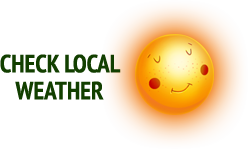 Check Basingstoke Weather Forecast